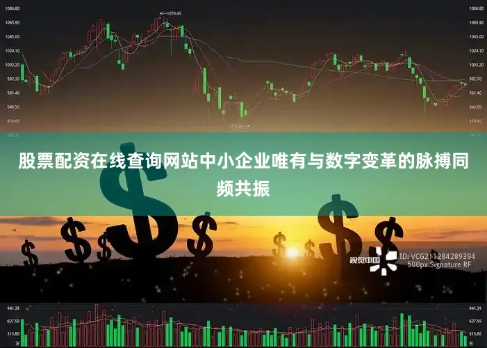 股票配资在线查询网站中小企业唯有与数字变革的脉搏同频共振