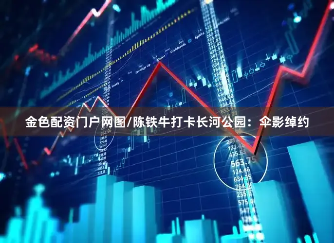金色配资门户网图/陈铁牛打卡长河公园：伞影绰约