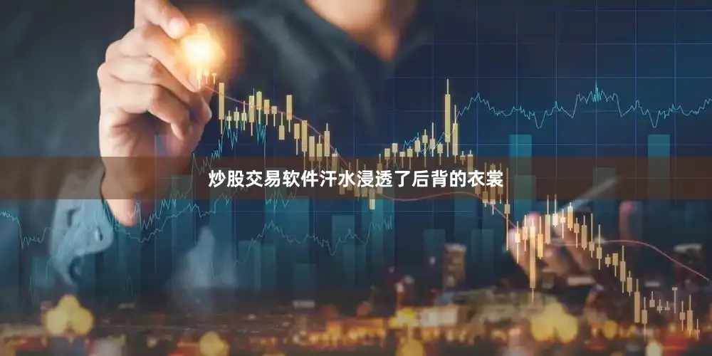 炒股交易软件汗水浸透了后背的衣裳
