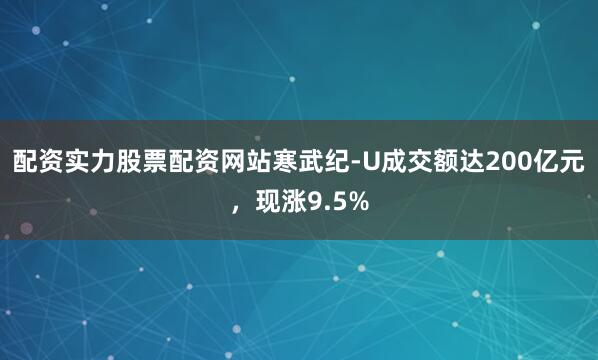 配资实力股票配资网站寒武纪-U成交额达200亿元，现涨9.5%