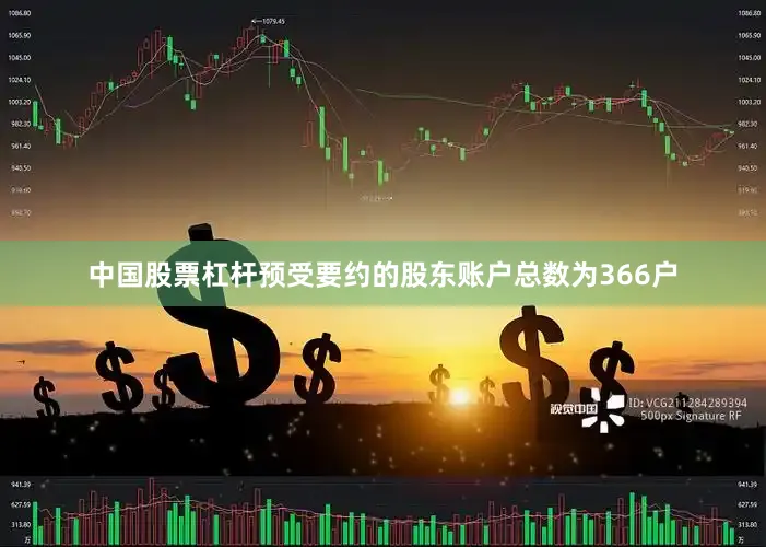 中国股票杠杆预受要约的股东账户总数为366户