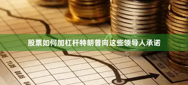股票如何加杠杆特朗普向这些领导人承诺