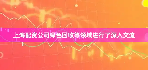 上海配资公司绿色回收等领域进行了深入交流